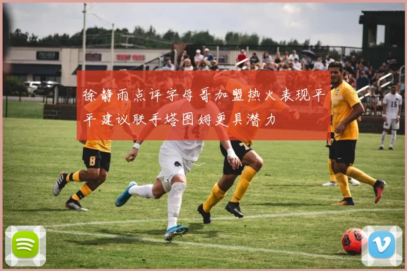 徐静雨点评字母哥加盟热火表现平平建议联手塔图姆更具潜力
