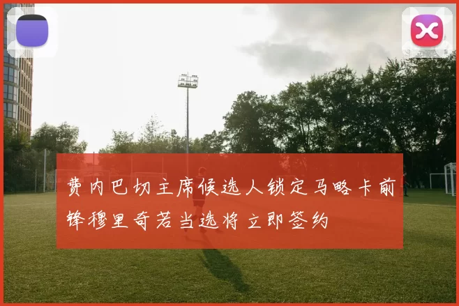 费内巴切主席候选人锁定马略卡前锋穆里奇若当选将立即签约